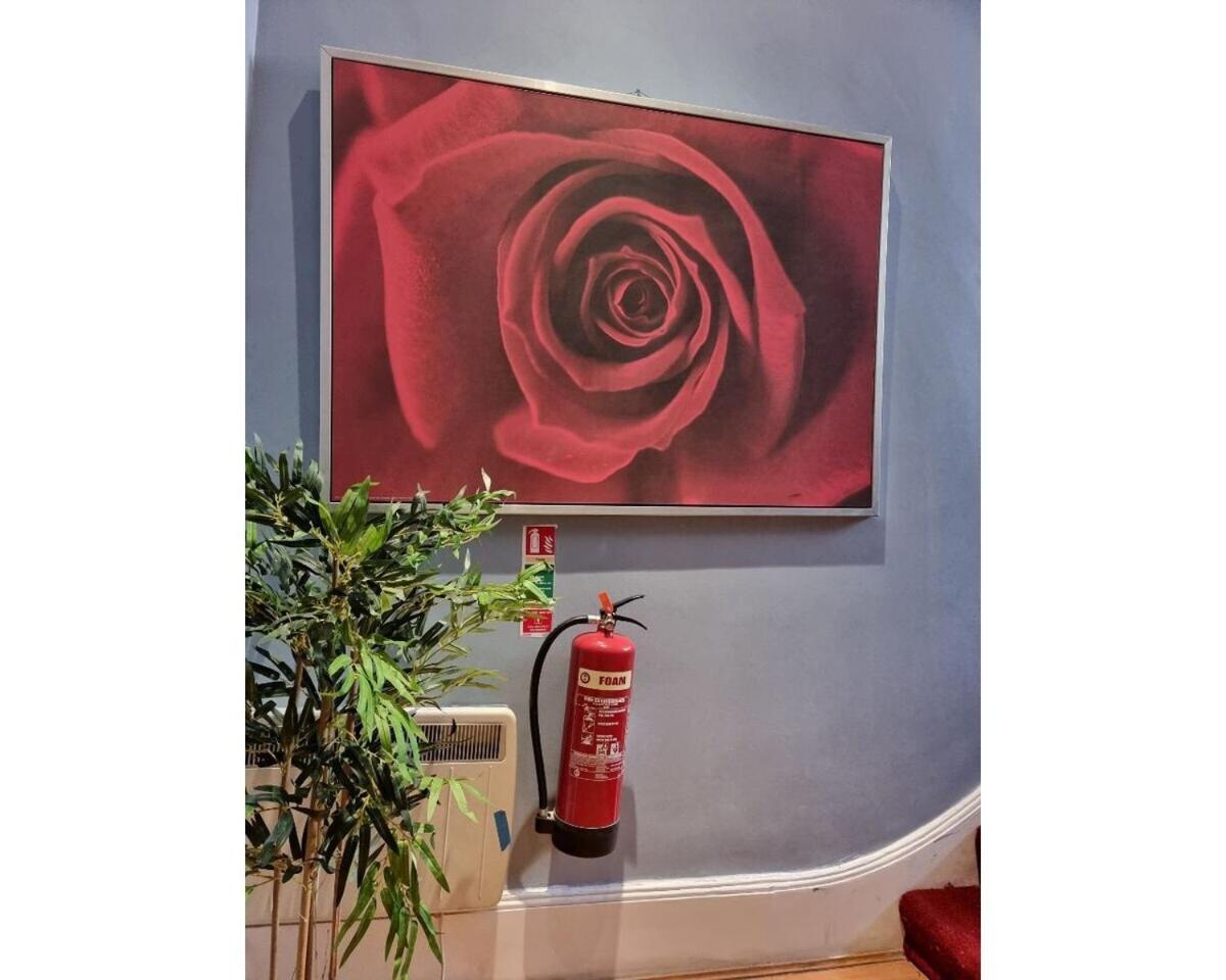 Fb2-Fantastic Basement Studio Good For 3 Near Hyde Park London Bilik gambar